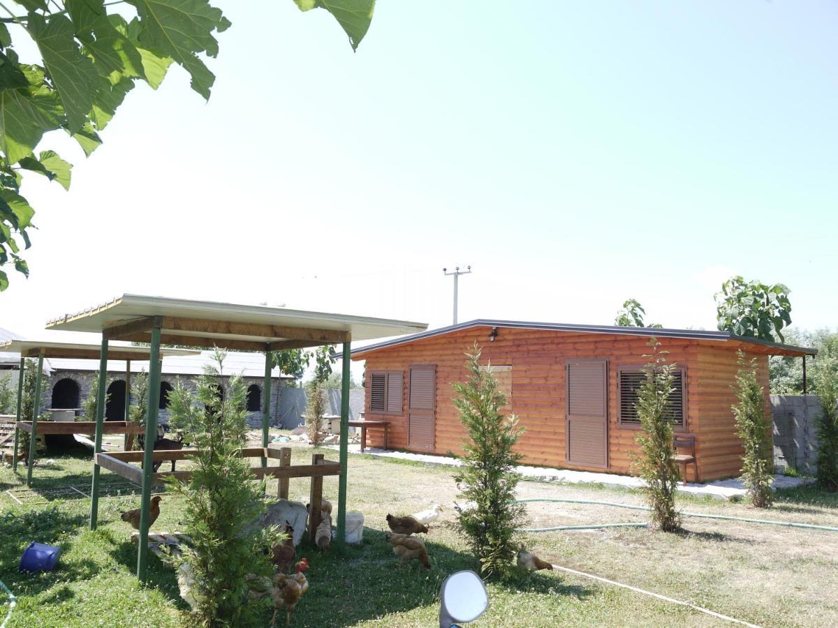 Windmill Shkodra Gesthouse Camping & Grill Екстериор снимка