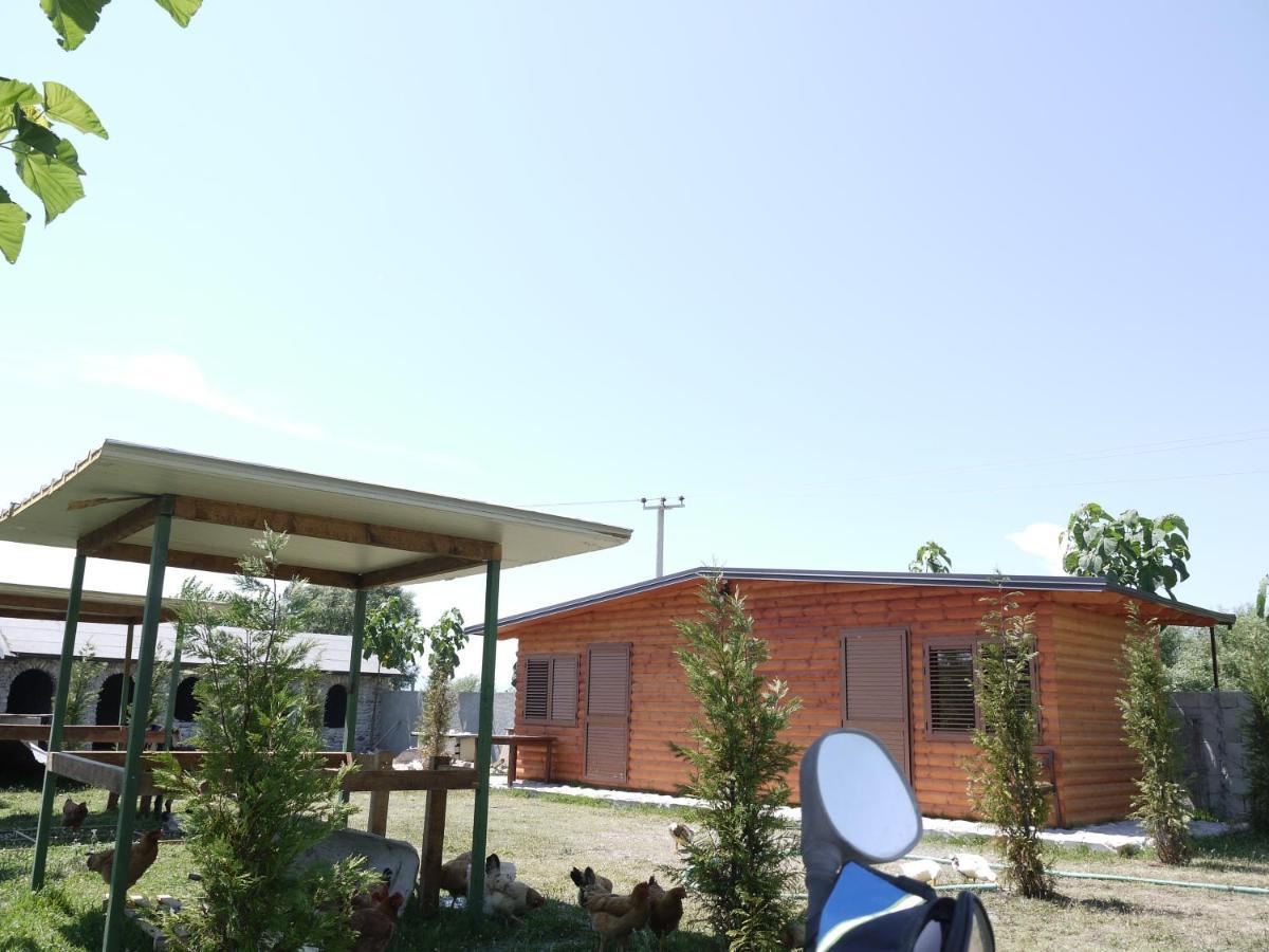 Windmill Shkodra Gesthouse Camping & Grill Екстериор снимка