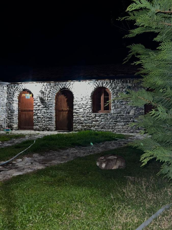Windmill Shkodra Gesthouse Camping & Grill Екстериор снимка